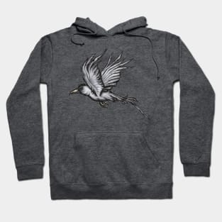 Raven Illustration Hoodie